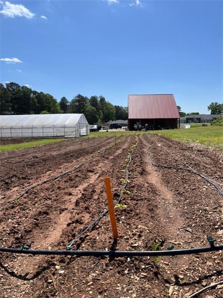 This is our FARM and yes, we have a barn, 3 fields and have increased our garden by 3X in 2024